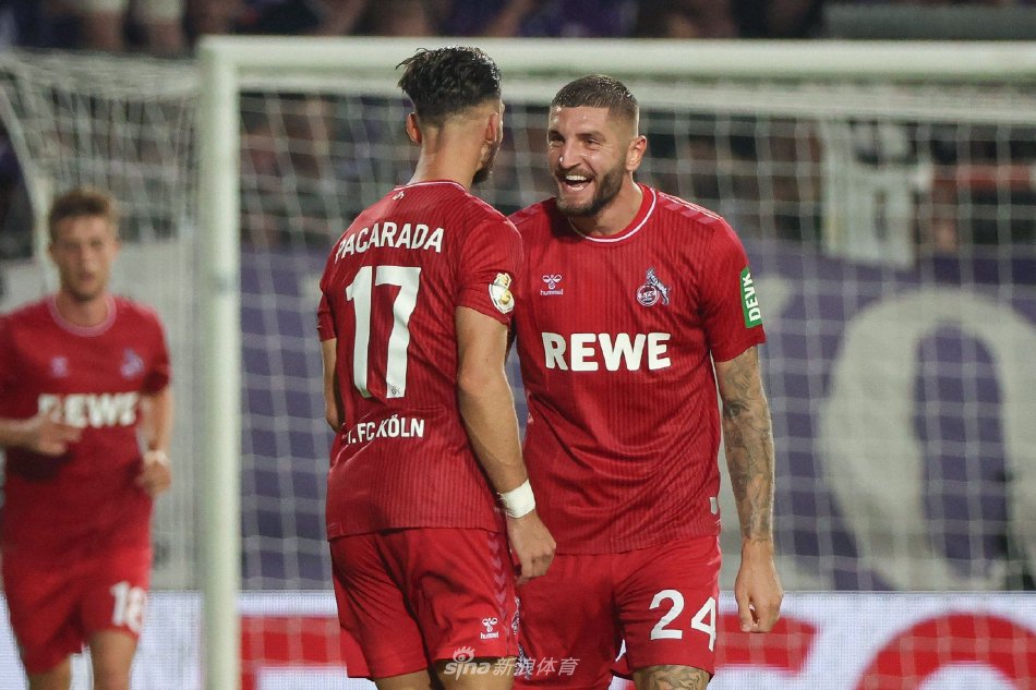 不仅维护了 不仅维护了